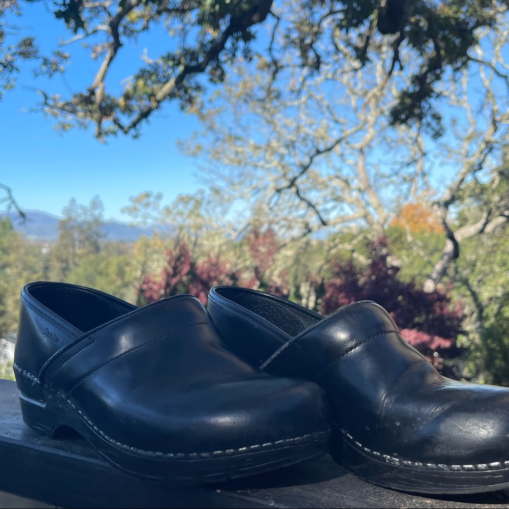 Sanita Smooth Clog